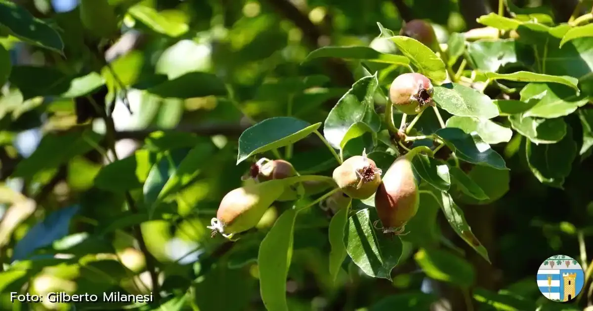 Immagine header 1 per Natura