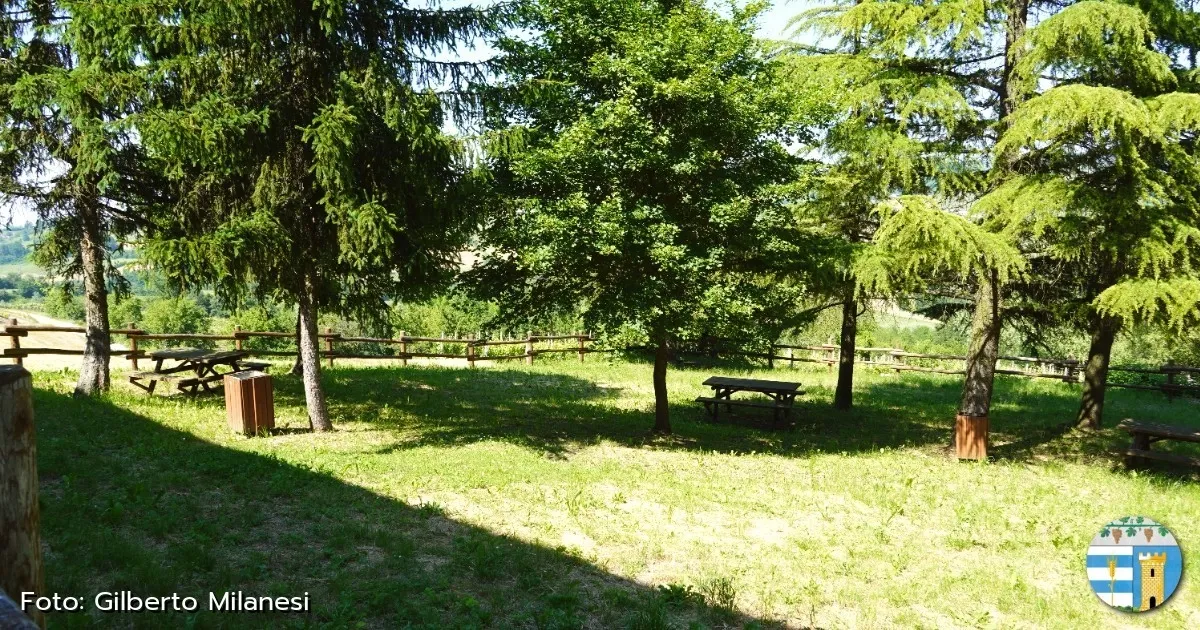 Immagine header 2 per Area Picnic 2: Ruino