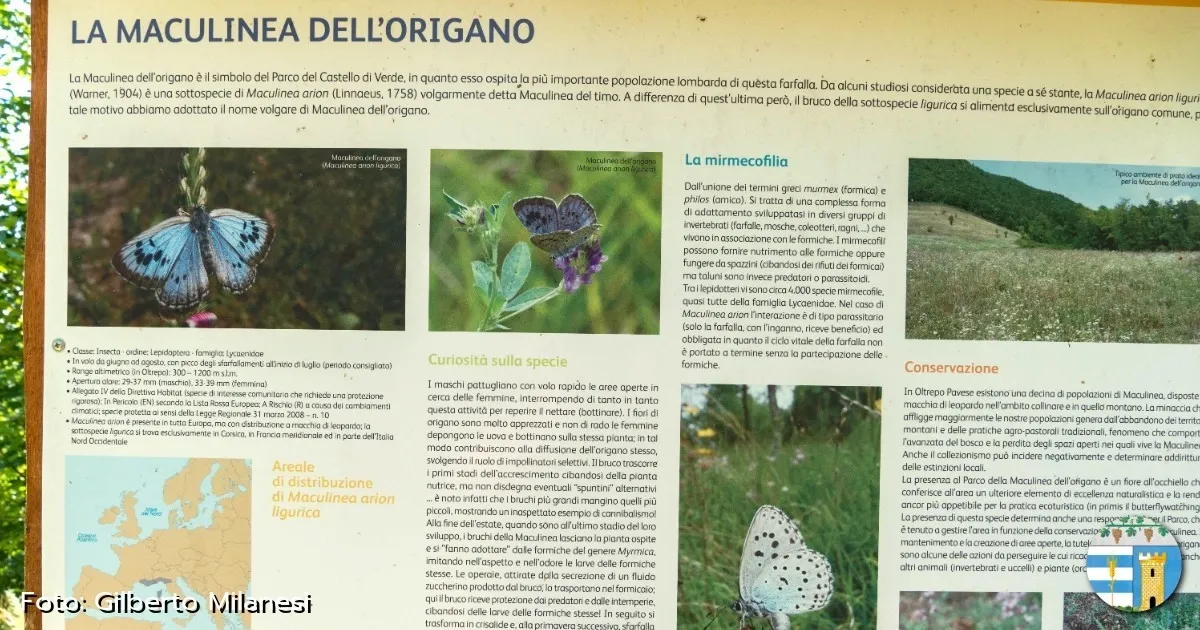 Immagine header 4 per Giardino delle farfalle - Valverde