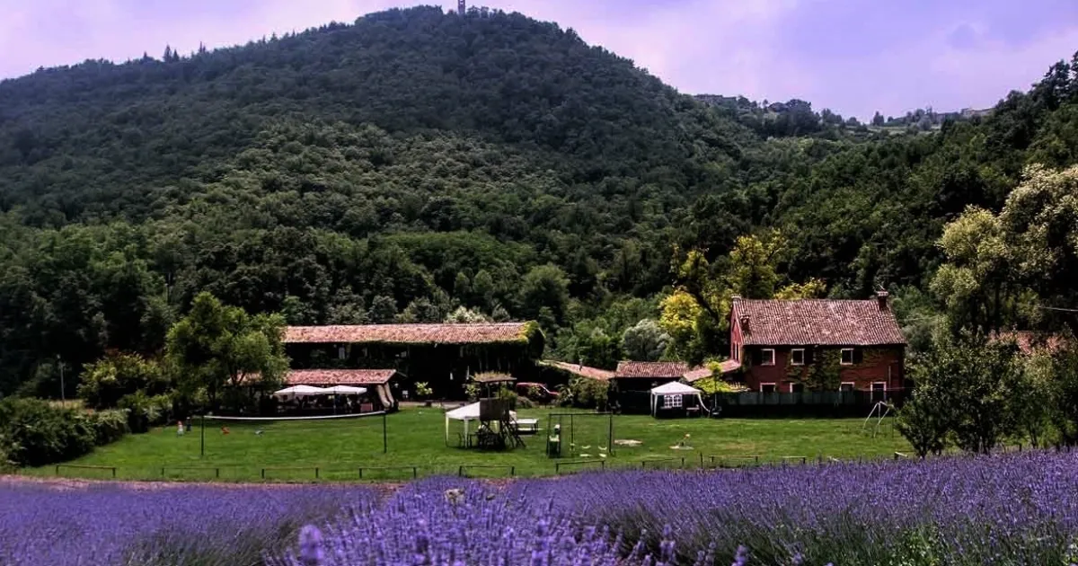 Immagine header 3 per Agriturismo Boccapane