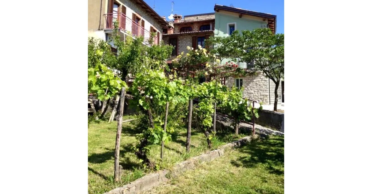 Immagine header 2 per La Corte del Borgo