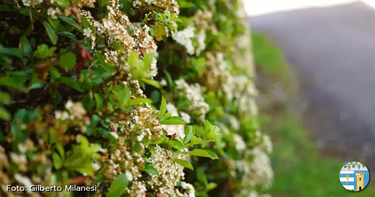 Immagine gallery 1 per Natura