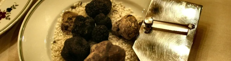 I prodotti tipici: Tartufi