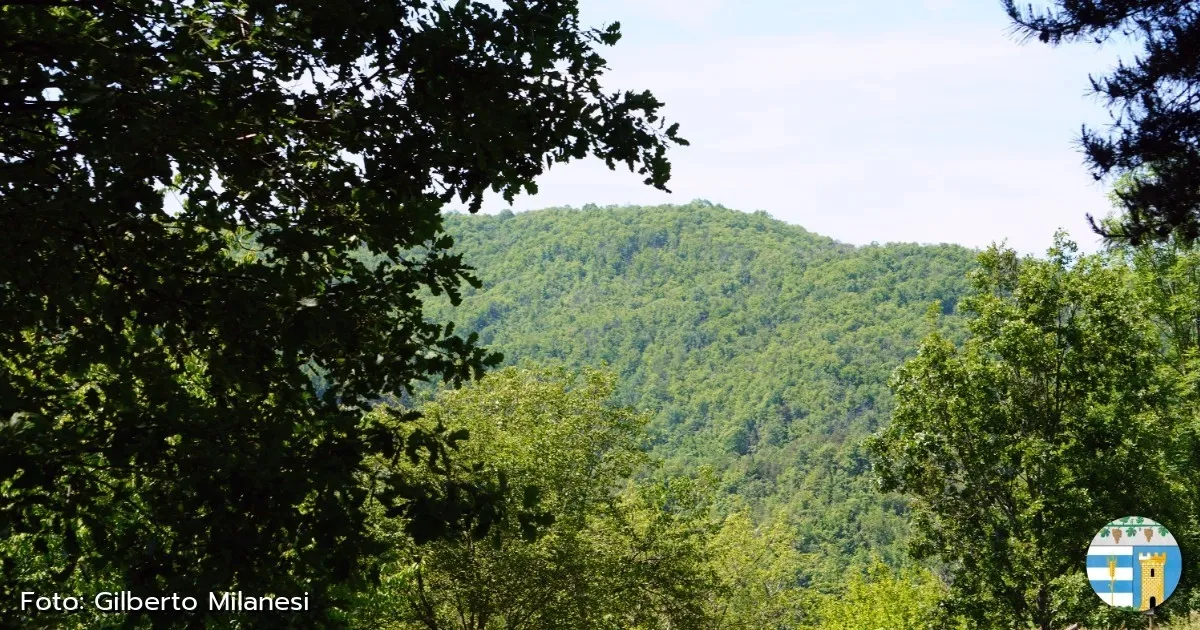 Immagine header 4 per Natura