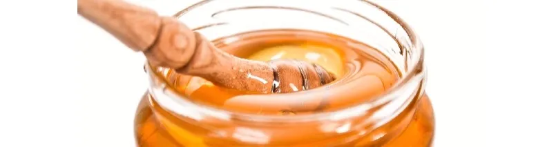 I prodotti tipici: Miele