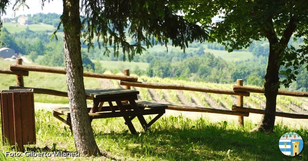 Immagine header 3 per Area Picnic 2: Ruino