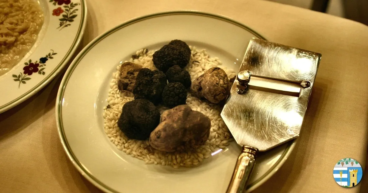 Funghi e tartufi