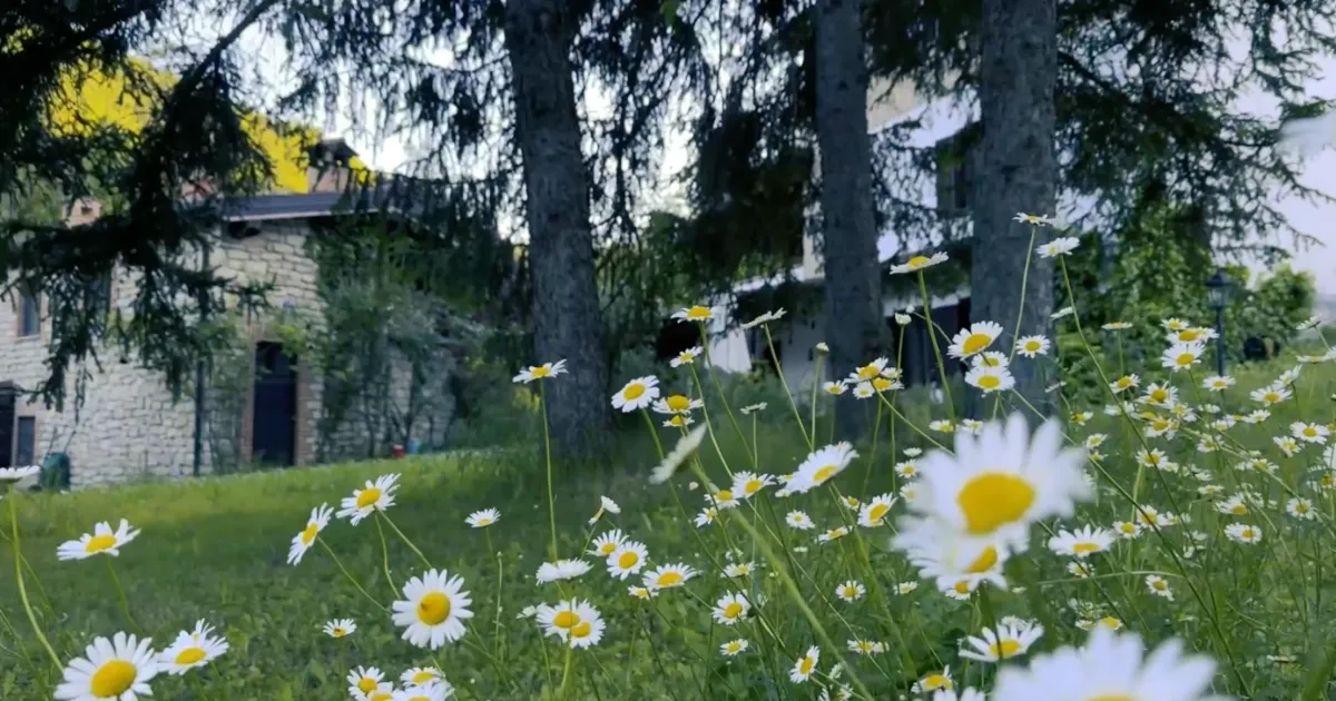 Immagine header 3 per Al Limitar del Bosco B&B