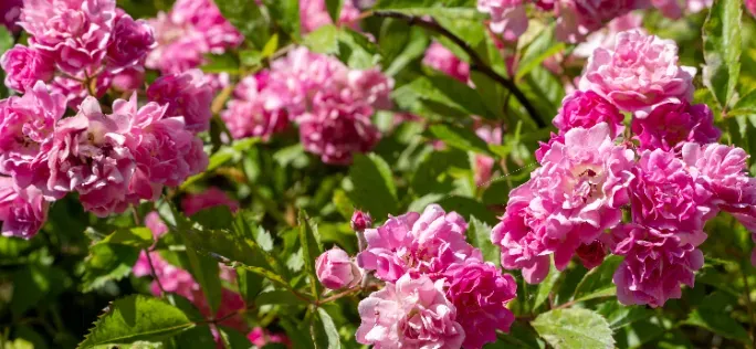 Il territorio: Natura