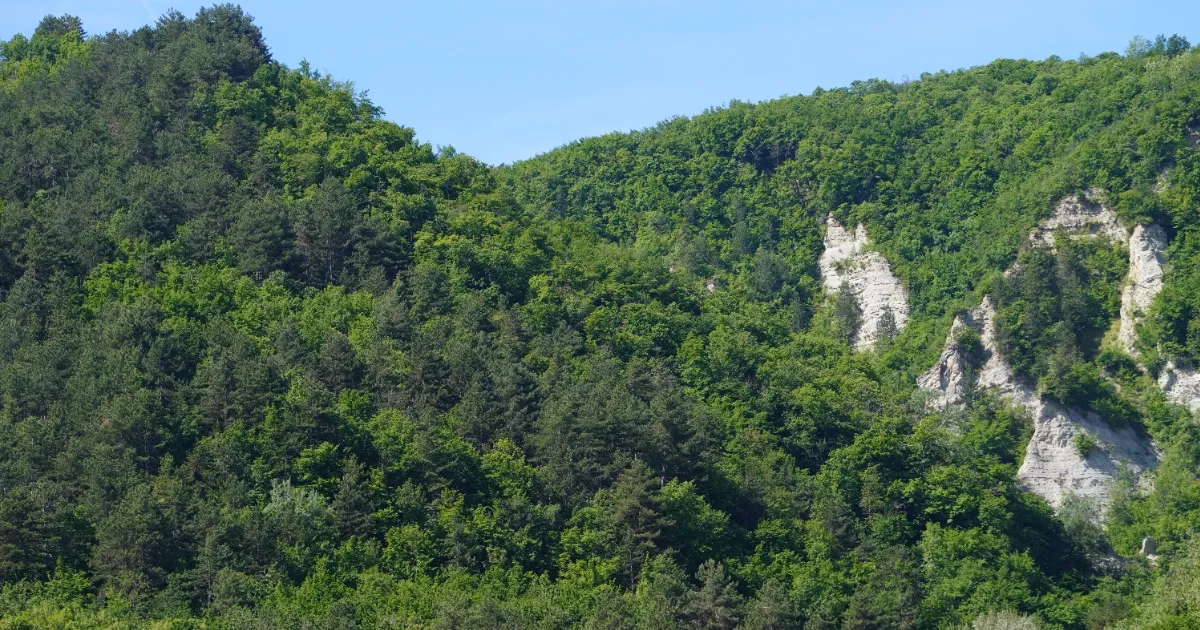 Immagine header 3 per Calanchi