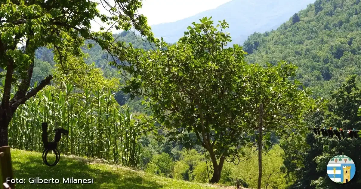 Immagine gallery 3 per Natura