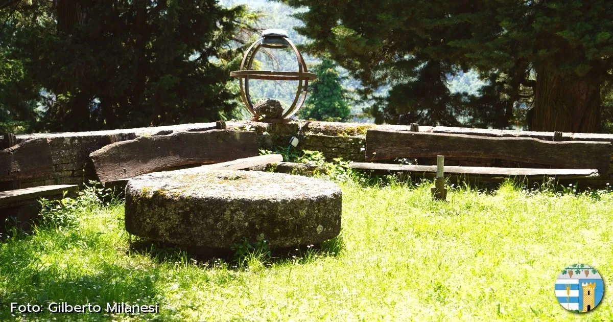 Immagine header 3 per Ruino