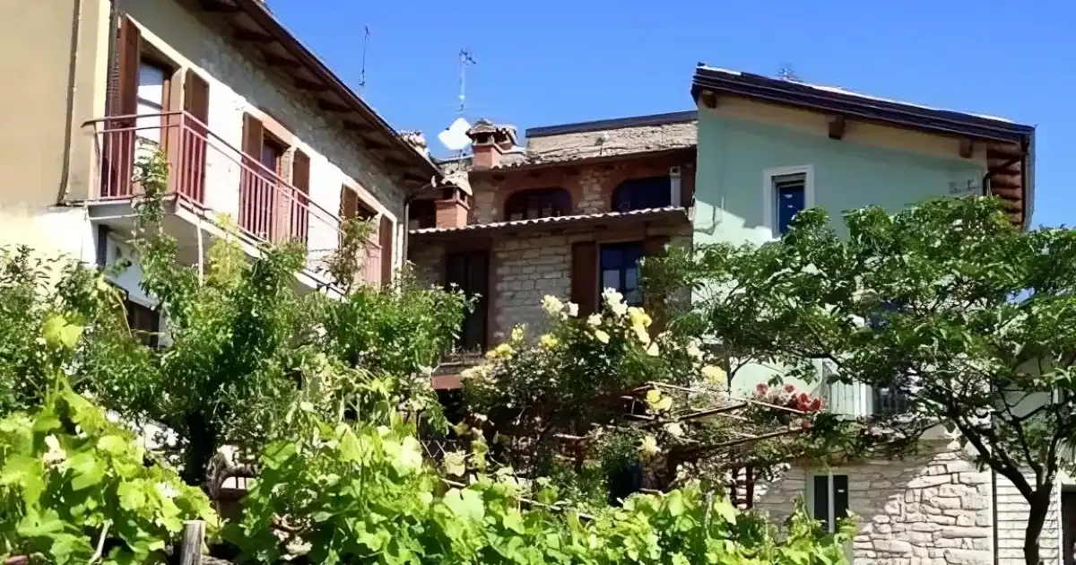 Immagine header 1 per La Corte del Borgo