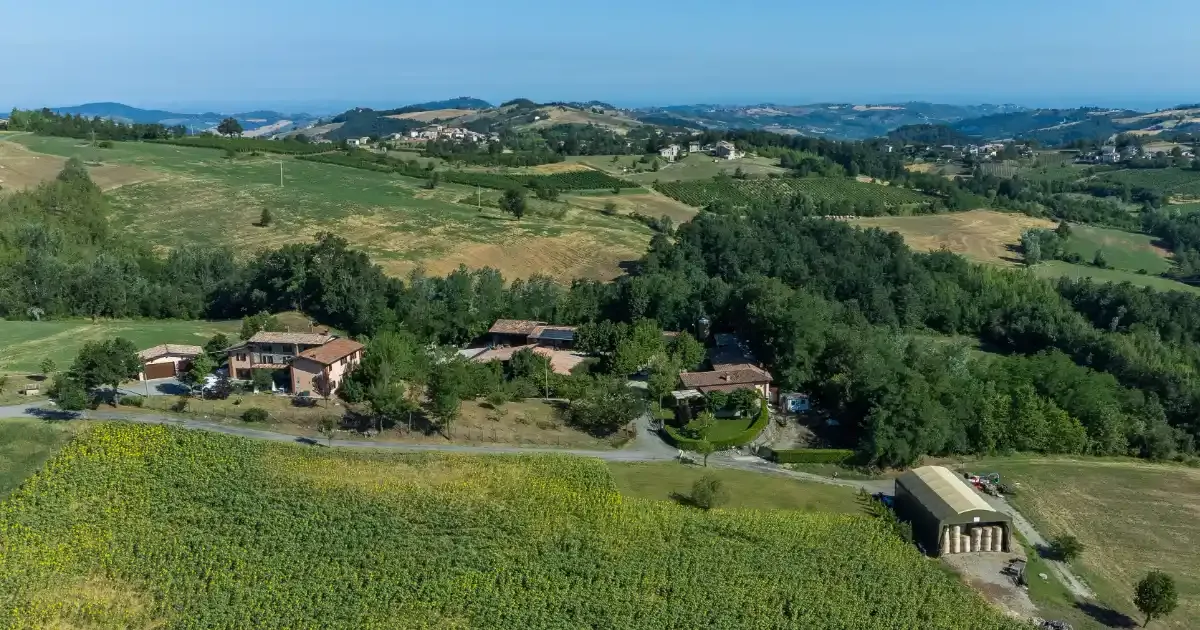 Immagine header 1 per Il Boscasso Società Agricola