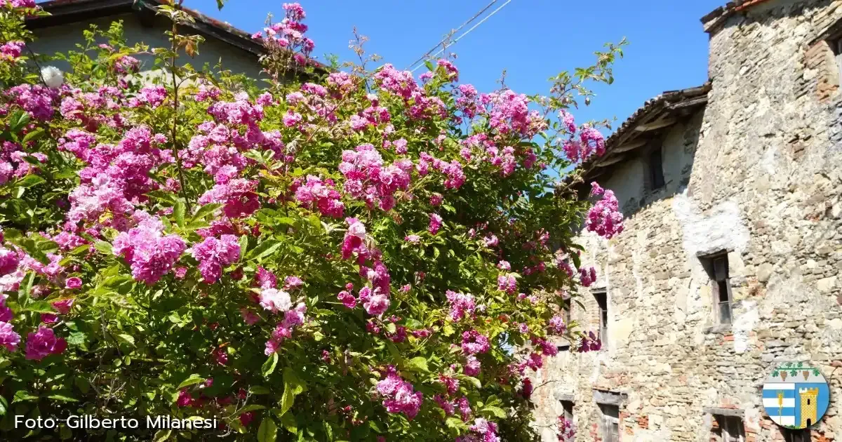 Immagine gallery 5 per Natura