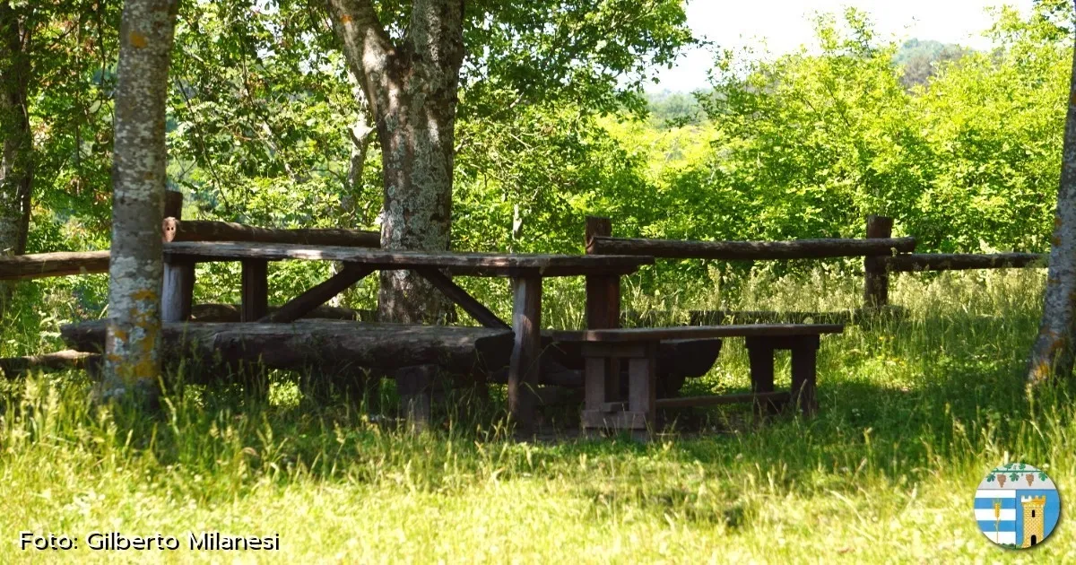 Immagine header 3 per Area Picnic 1: Castello di Verde