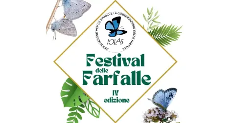 Festival delle Farfalle 2025 - IV edizione